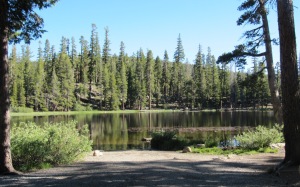 picture of peaceful view across Watson Lake