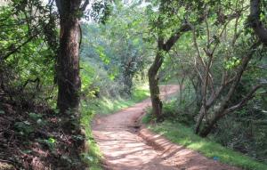 photo of Hacienda Trail in Almaden Quicksilver County Park