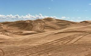 picture of ATV tracks in the Imperial Sand Dunes Recreation Area